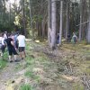 Bildergalerie 2018 &raquo; Maibaum 2018